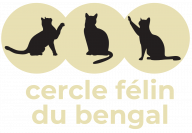 Cercle felin du bengal